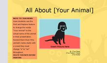 我家的宠物档案