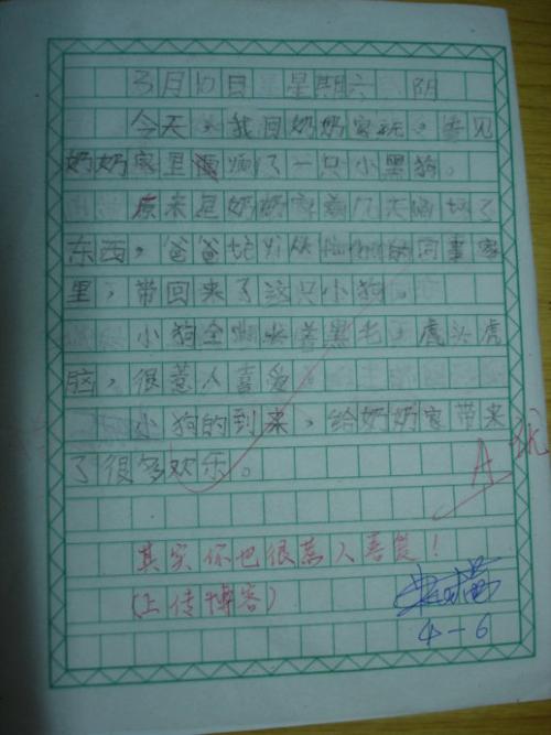 公开七年级的论文