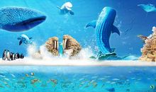 去长隆海洋王国