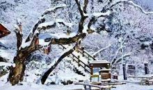 又到雪花纷飞时