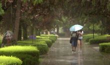 描写夏雨的作文