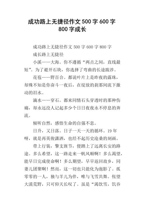 成功没有捷径