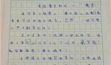 六年级作文拿手好戏踢足球