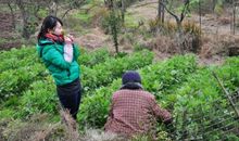 奶奶家的小村庄