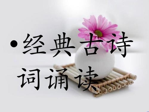 我经常背这首诗