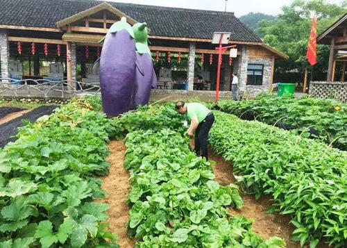 童年·菜园·小绿虫