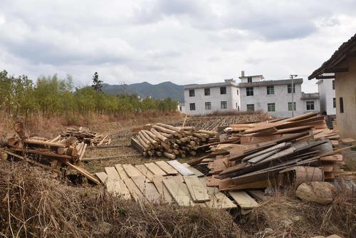 难忘的2020年农历新年