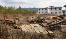 难忘的2020年春节