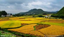 外婆的田园风光