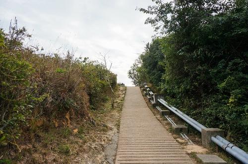 通往山的路