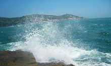 心里的那朵浪花