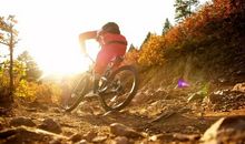 有一种力量叫生命