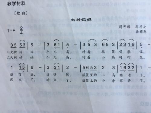 母树