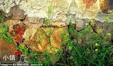 细细品出古镇味