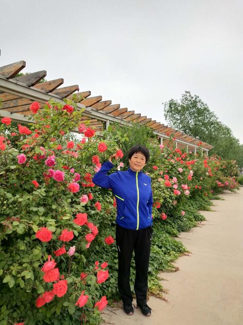 我关于花草的故事