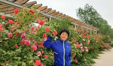 我养花草的故事