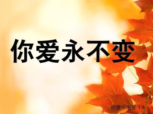 永恒就是爱