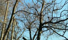 这个假期，我受益匪浅