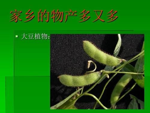 故乡财产