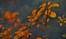 心灵深处的一抹阳光