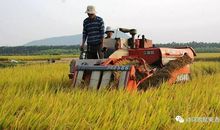 秋天收获的季节