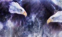 小猪、老鹰和老虎