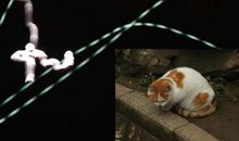 人生因理想而精彩