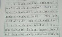 我做了一项小实验作文300字