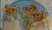 我和成长小伙伴的故事