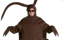 我变成了一只蟑螂