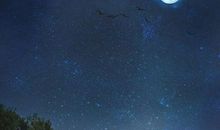 人生如梦，一樽还酹江月