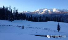 这个冬天不寂寞