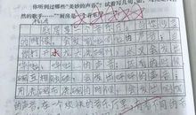 厨房是一个音乐厅小练笔100字