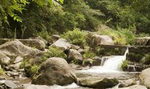 门前小溪的四季