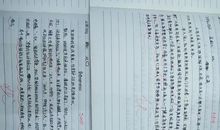 假如我有一双慧眼作文