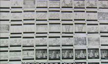 被狐狸爸爸收养后