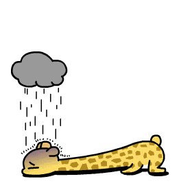 及时的雷声