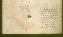 草原英雄小姐妹读后感