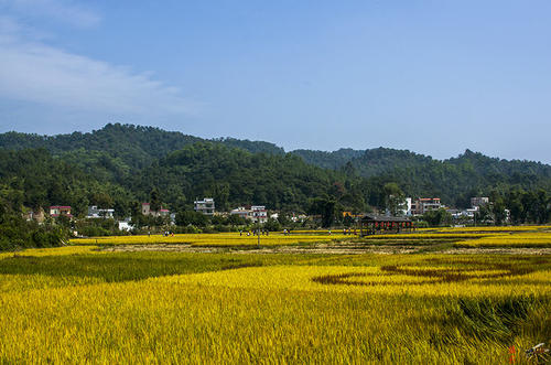美丽的山村