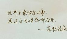 它为梦想努力过