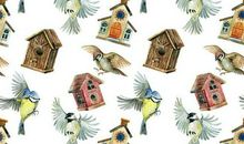 我们眼中的缤纷世界作文