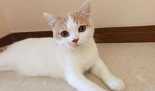 我的爷爷是“馋猫”