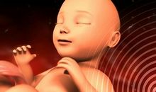 沉醉在妈妈的故事中