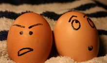我是鸡蛋