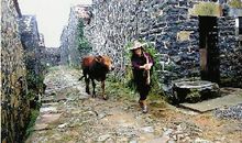 留在深山里的记忆