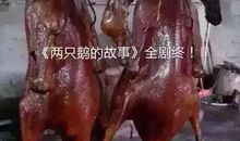 有情鸡终成眷属