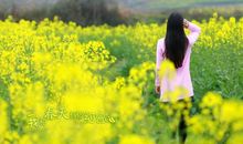 我和明天有个约会