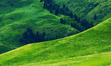 多姿多彩的眼泪