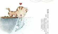 猫和鱼的故事