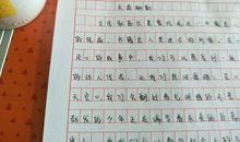 我的暑假作业作文